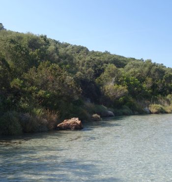 DSC07460